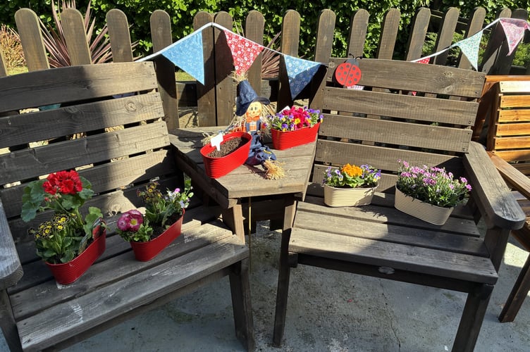 New planting at Mulberry House Care Home in Bovey Tracey. 
