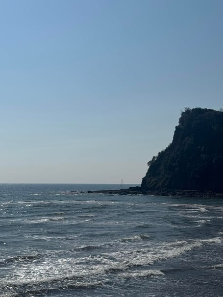 Ness Shaldon, scene of Teignmouth RNLI rescue. Photo Teignmouth RNLI