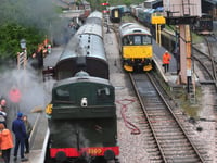 Explore Devon with free child travel on heritage railway
