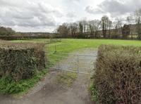 Dedicated dog-walking field coming to Liverton?
