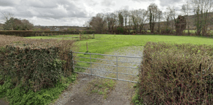Dedicated dog-walking field coming to Liverton?