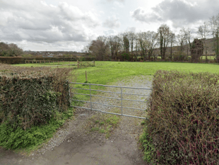 Council refuse permission for dedicated dog-walking field