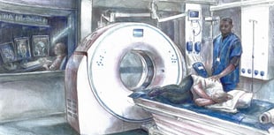 Artist's work reflects Covid-pandemic