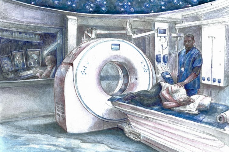 One of the works in display at Torbay Hopsital by Helen Snell. 