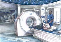 helen snell's NHS pandemic art