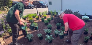 Trainee gardeners beautify Dawlish Manor House