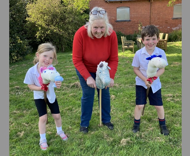 Appeal for hobby horses for County Show World Record attempt
