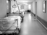 Changes proposed to NHS care board in Devon 