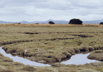 England’s peatlands mapped for first time