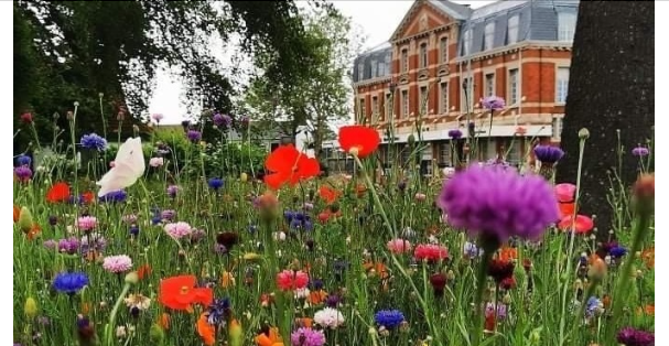 Tell council your views on its green spaces and parks