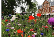 Last chance to fill out Green Spaces survey