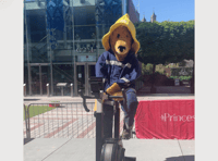 Fire crew set sights on Spain as Princesshay challenge completed 