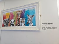 Rainbow Babies painting for Torbay Hospital