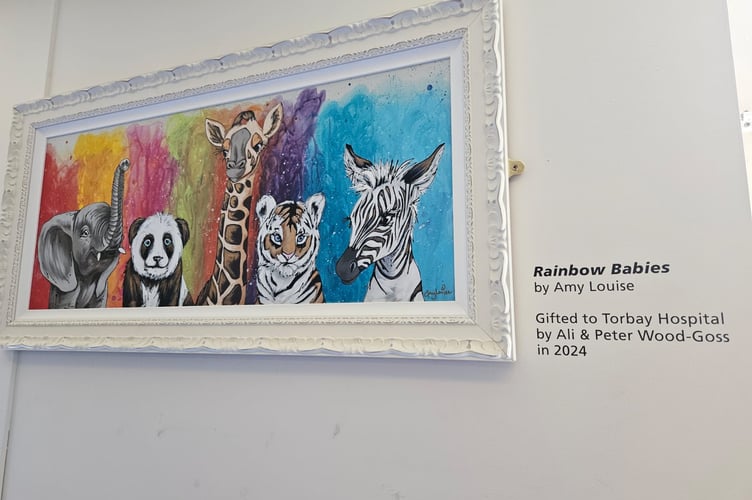 Rainbow Babies painting by Amy Louise, donated to Torbay Hospital 
