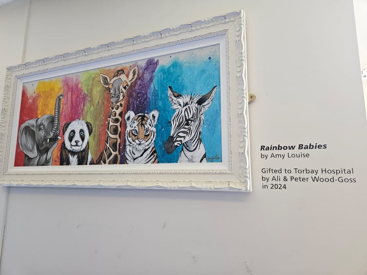 Rainbow Babies painting by Amy Louise, donated to Torbay Hospital