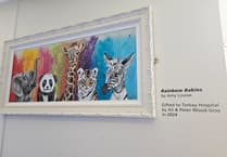 Rainbow Babies brightens Torbay Hospital