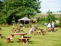 National Beer Garden Day: celebrate by supporting your local in Teignbridge, as pubs and bars continue to shut across the UK