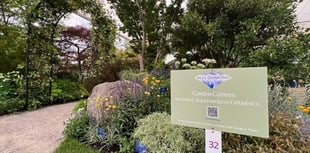 Blue Diamond wins gold at Chelsea Flower Show