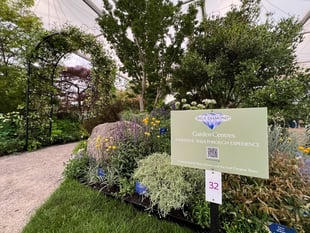 Blue Diamond wins gold at Chelsea Flower Show