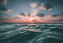 Ocean darkened by a fifth over past twenty years, research shows