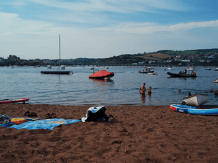 Dog falls ill from drug exposure on beach