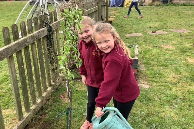 Primary schools enhance outdoor spaces with new trees