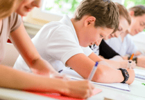 SEND reform ‘kicked down the road’, says Devon county councillor