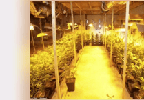 Shaldon drugs bunker businessman ordered to pay back £10k