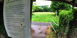Petition to save popular green space