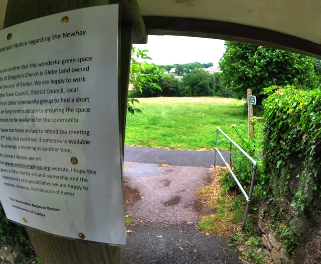 Petition to save popular green space