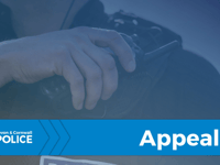 Witnesses sought after vehicles damaged 