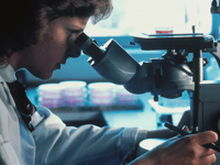 University secures grant to investigate eczema prevention 