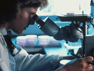 Changes during brain development may hold key to autism