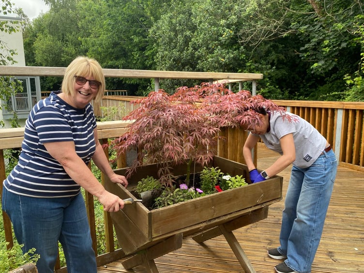 Staff from Templer Ward at Newton Abbot Community Hospital planting donations from The Globe at Chudleigh, winners of Dawlish Water Rotary Mega Quiz.