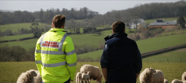 Farming family plead guilty to animal welfare offences