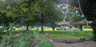 Travellers encamp at Bovey Tracey park