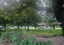 Travellers told to leave Bovey Tracey park