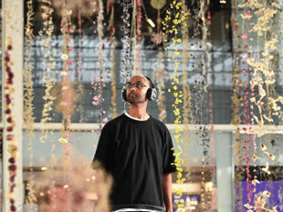 Artist  to create fungi-inspired soundscape 