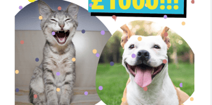 Local wins £1,000 in charity lottery