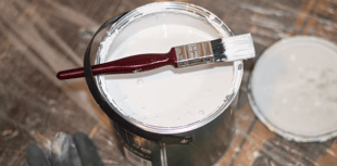 'RePaint' scheme boosts grassroots Devon projects 