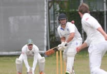 Ashburton ease past C Division West neighbours South Devon