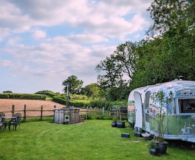 Artist transforms Airstream trailer into eco-friendly retreat 
