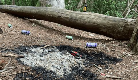 'Take extra care', say fire-fighters as woodland left in state 