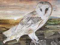 Barn Owl art marks charity milestone