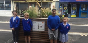 Newton Abbot pupils' artwork on display