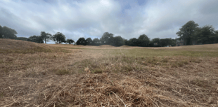 Anger as wildflower meadow is cut down