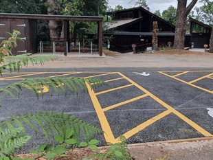 Accessible spaces upgraded as country park improvements continue apace