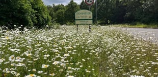 Volunteers Needed to Preserve Exminster Wildflowers