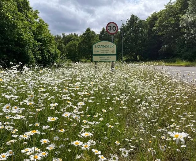 Volunteers Needed to Preserve Exminster Wildflowers