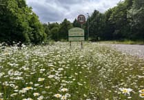 Help Maintain Exminster's Wildflower Haven